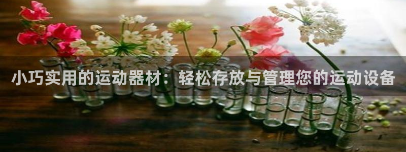 xk星空体育官方正版app新能源：小巧实用的运动器材：轻松存