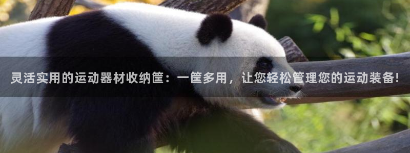 xk星空体育官方正版app科技：灵活实用的运动器材收纳筐：一