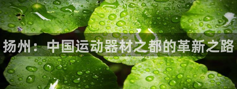 xk星空体育官网下载招商电话号码：扬州：中国运动器材之都的革