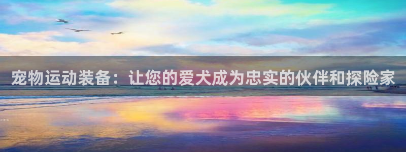 xk星空体育官网下载官方客服电话：宠物运动装备：让您的爱犬成
