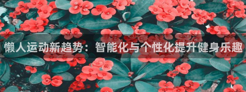 xk星空体育官网下载平台APP：懒人运动新趋势：智能化与个性