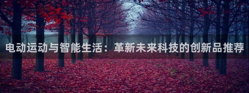 xk星空体育官网下载招商电话：电动运动与智能生活：革新未来科