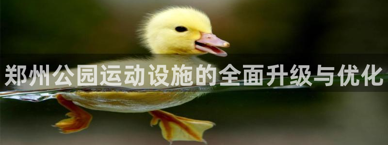 xk星空体育官方正版app娱乐是那个系列的台子