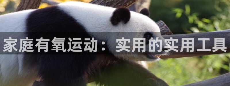 xk星空体育官方正版app集团简介：家庭有氧运动：实用的实用