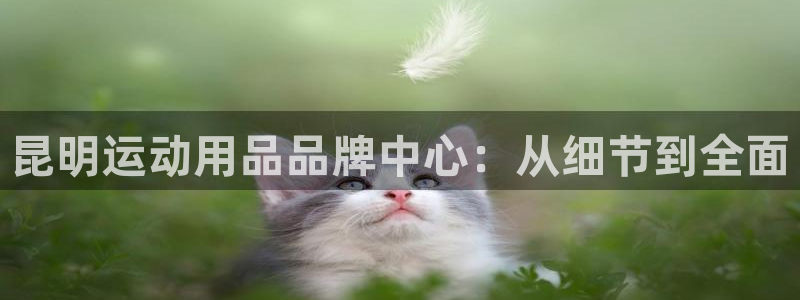 xk星空体育官网下载招商电话号码