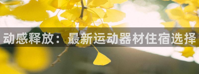 xk星空体育官方正版app官方：动感释放：最新运动器材住宿选