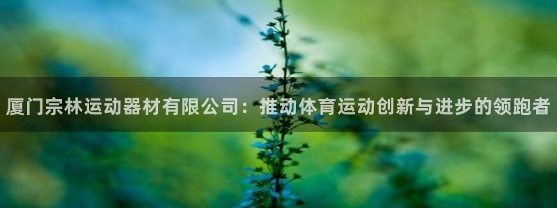 xk星空体育官方正版app新能源：厦门宗林运动器材有限公司：